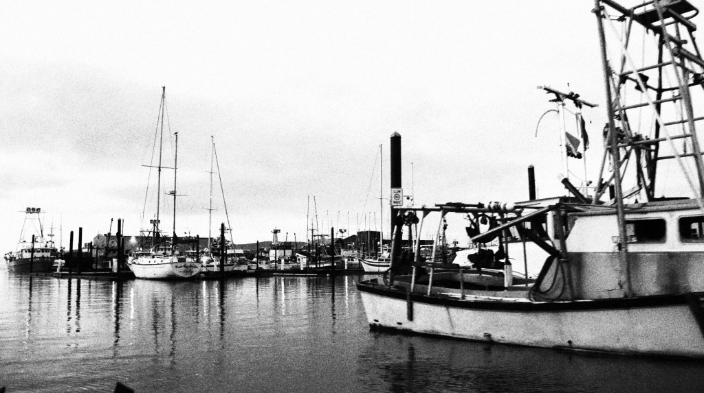 fishing and crabbing