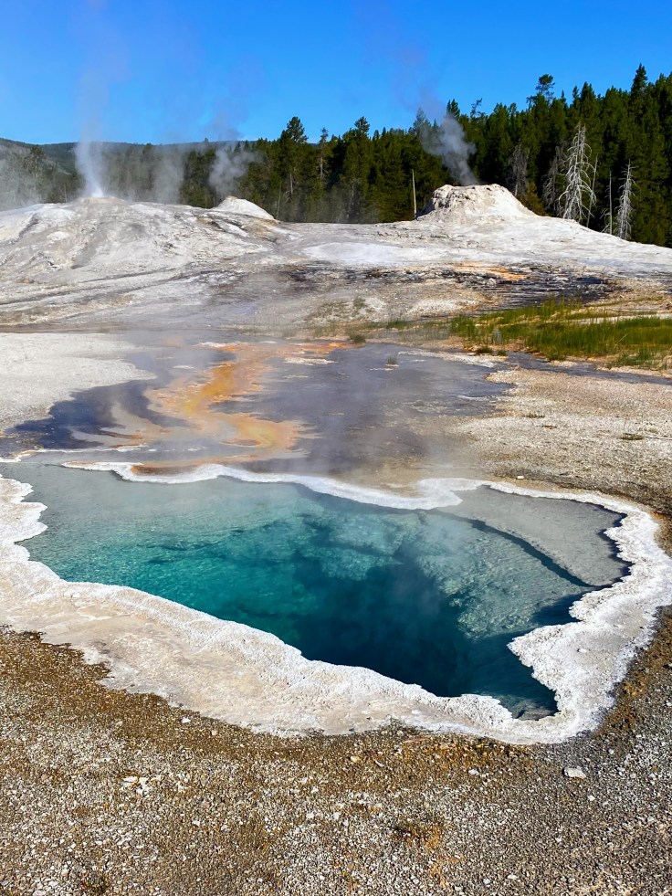 Old Faithful Thermal Area